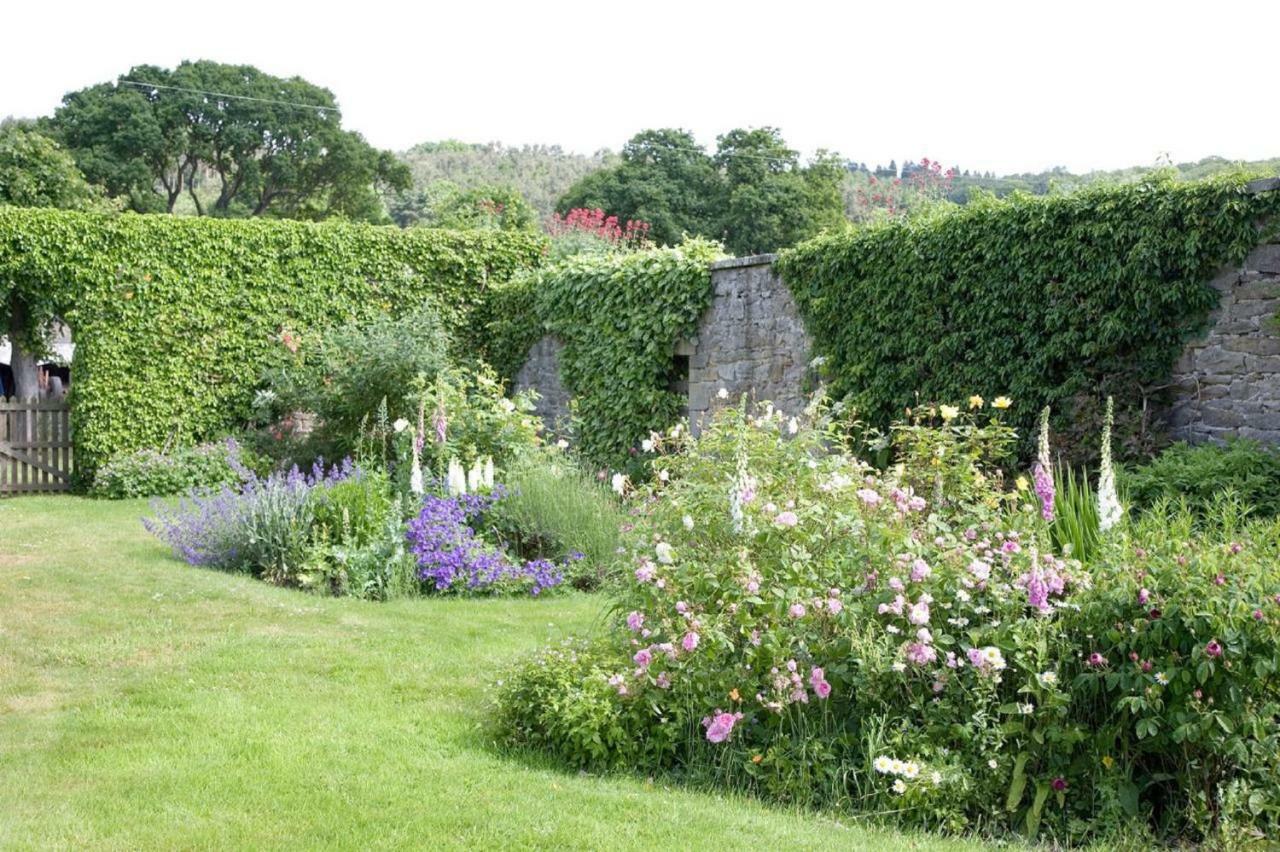 Anick Grange Farm B&B Hexham Eksteriør billede