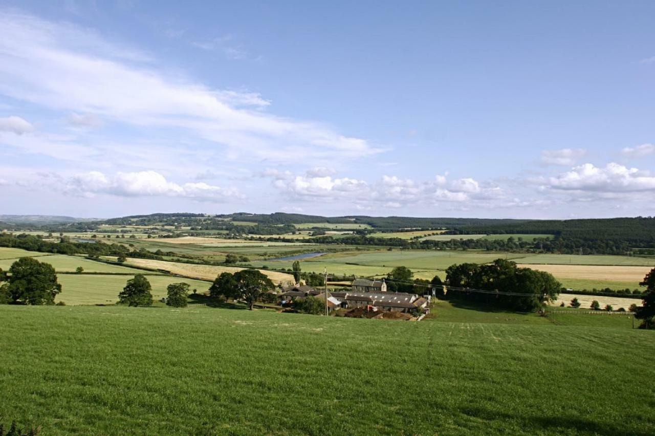 Anick Grange Farm B&B Hexham Eksteriør billede